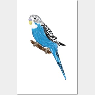 Nice Artwork showing a Blue Budgie III Posters and Art